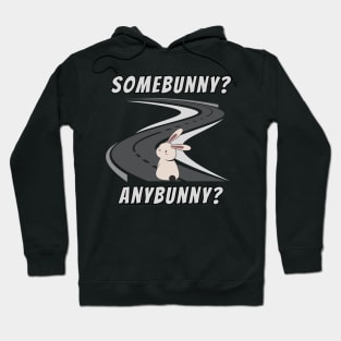 Somebunny? Anybunny? Nobunny Hoodie